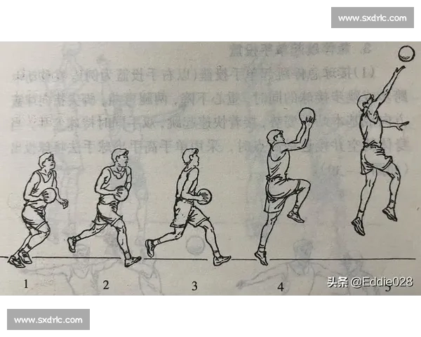 篮球投篮策略选择与优化分析：影响因素、决策模型与实际应用探索