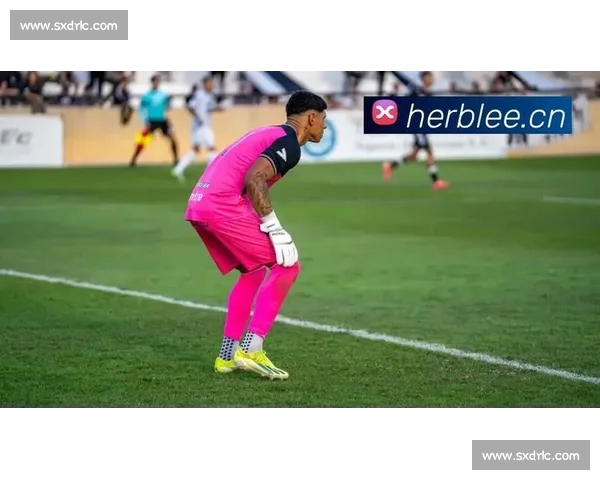 激烈对决全程直播 回顾体育赛场精彩瞬间与数据分析 激烈对决全程直播 回顾体育赛场精彩瞬间与数据分析